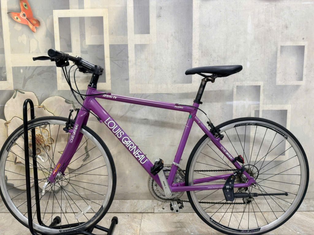 Xe đạp Louis Nhật bãi thanh lý Xe đạp Louis Nhật bãi thanh lý