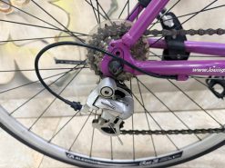 Xe đạp Louis Nhật bãi thanh lý