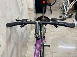 Xe đạp Louis Nhật bãi thanh lý