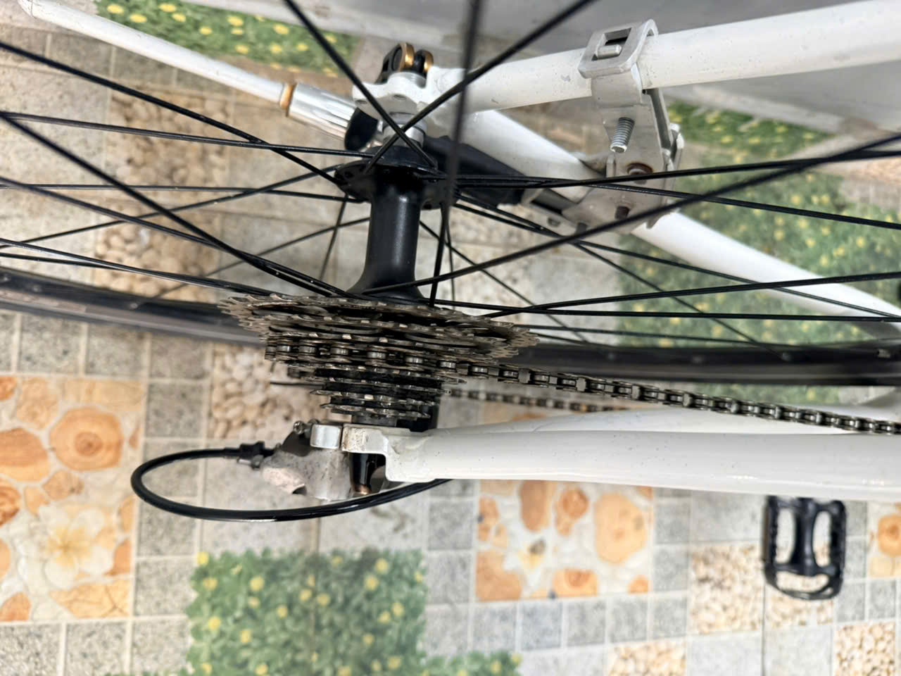 Xe đạp GIANT R3 Nhật bãi Xe đạp GIANT R3 Nhật bãi