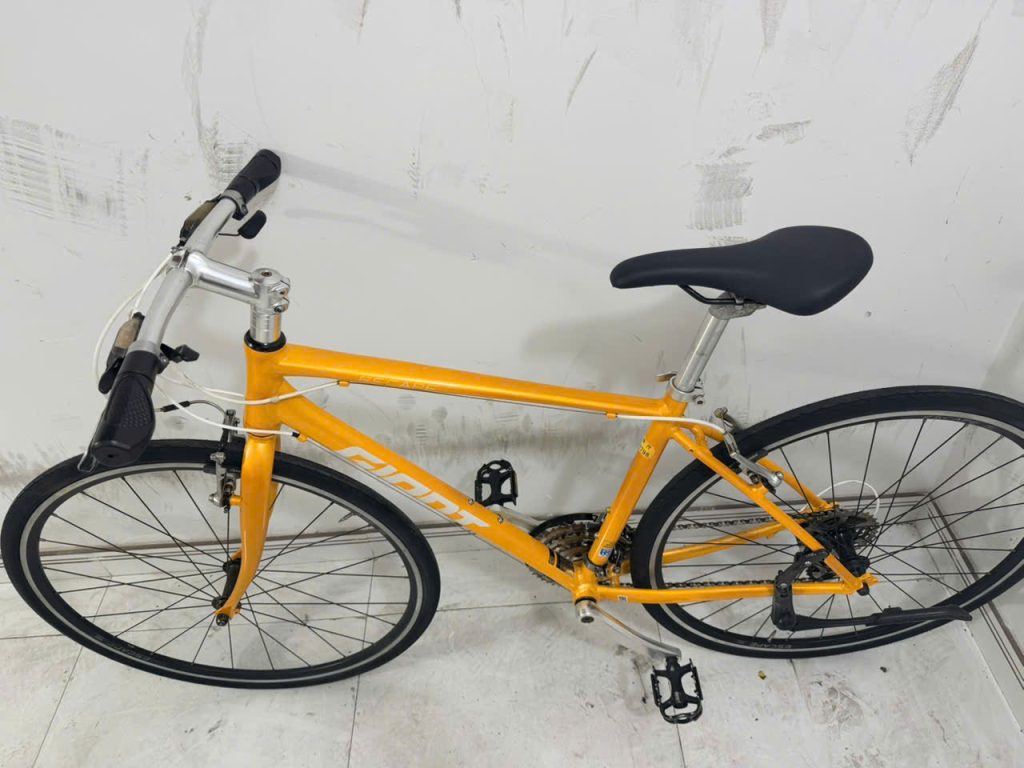 Xe đạp Nhật bãi GIANT R3