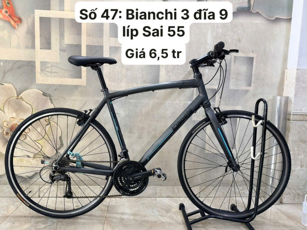 Xe đạp Bianchi sport 2