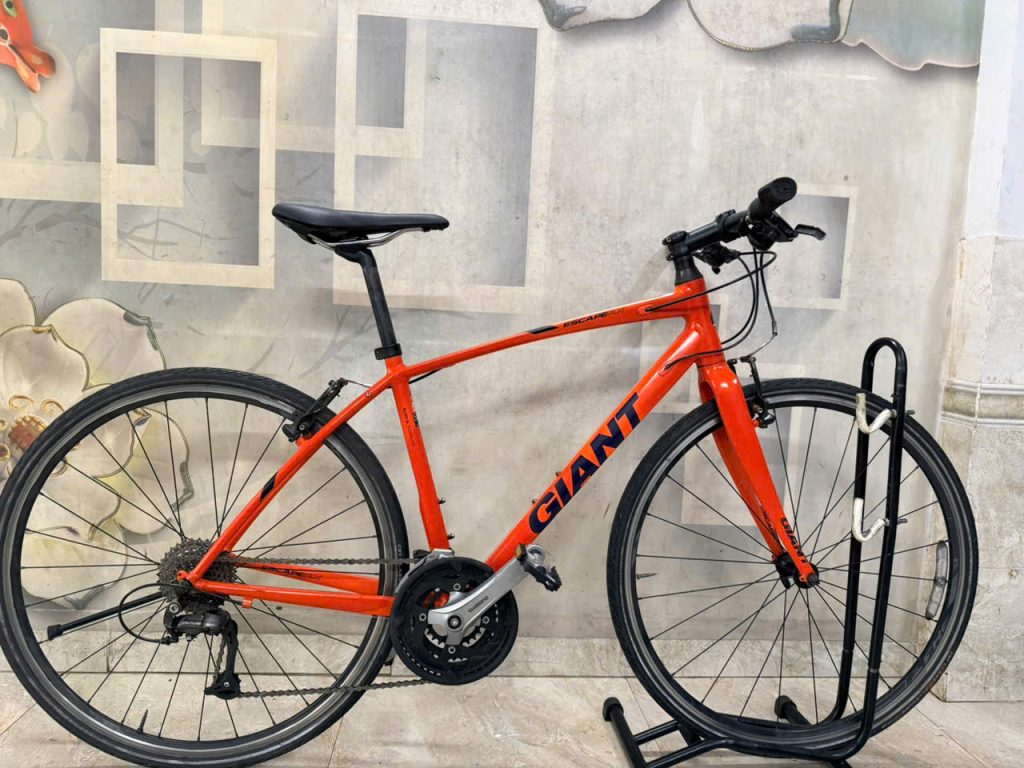 Nguồn gốc Xe đạp GIANT