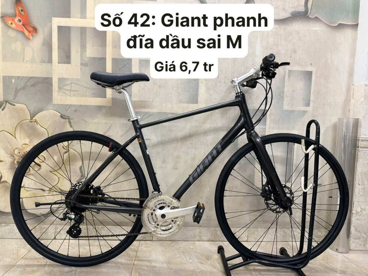 Xe đạp GIANT Phanh dầuz7233165842526_ad00a7a7997424cff8070245f217a626 Xe đạp GIANT Nhật bãi phanh dầu