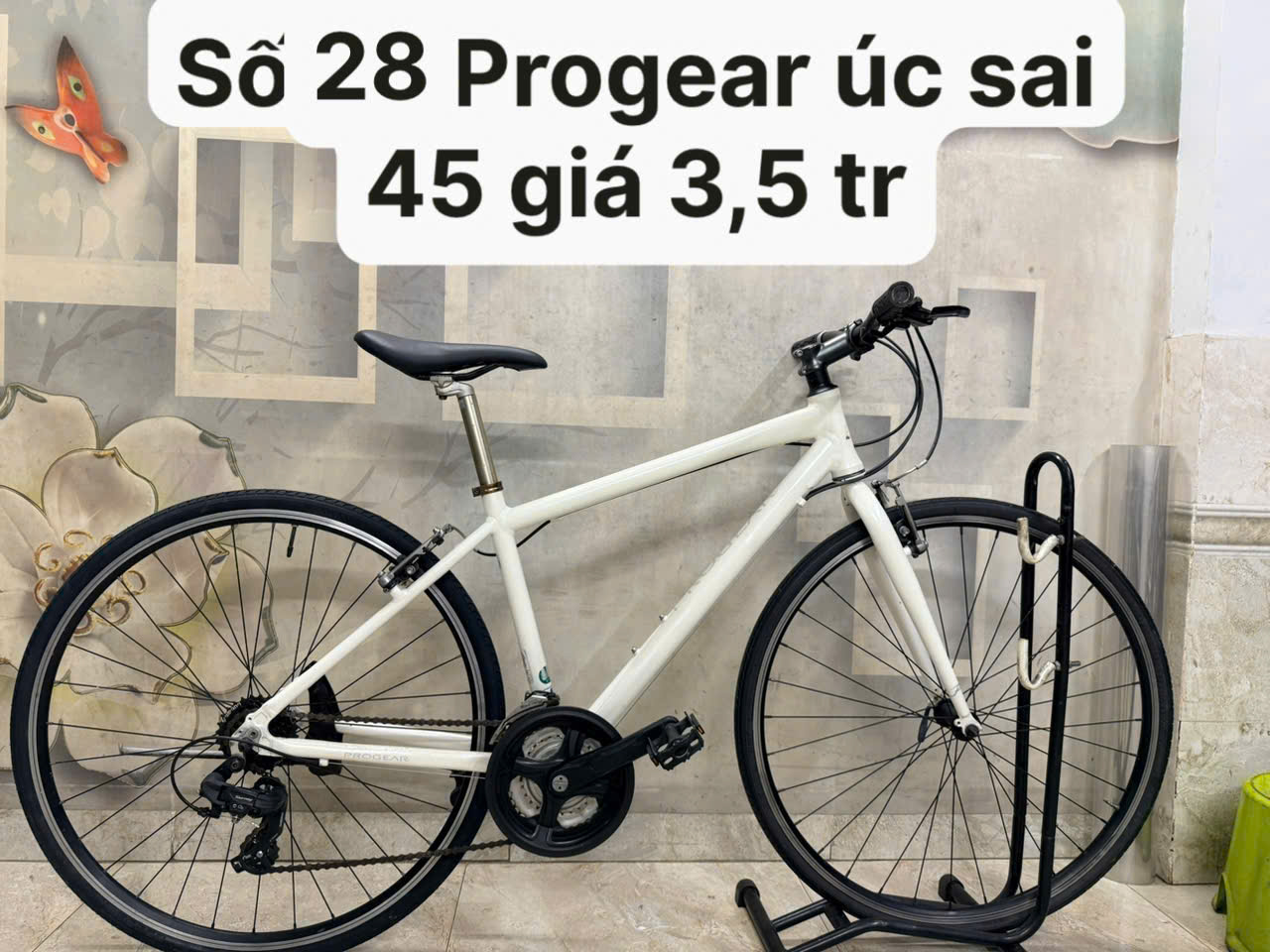 Xe đạp Progear Nhật bãi Xe đạp Progear Nhật bãi