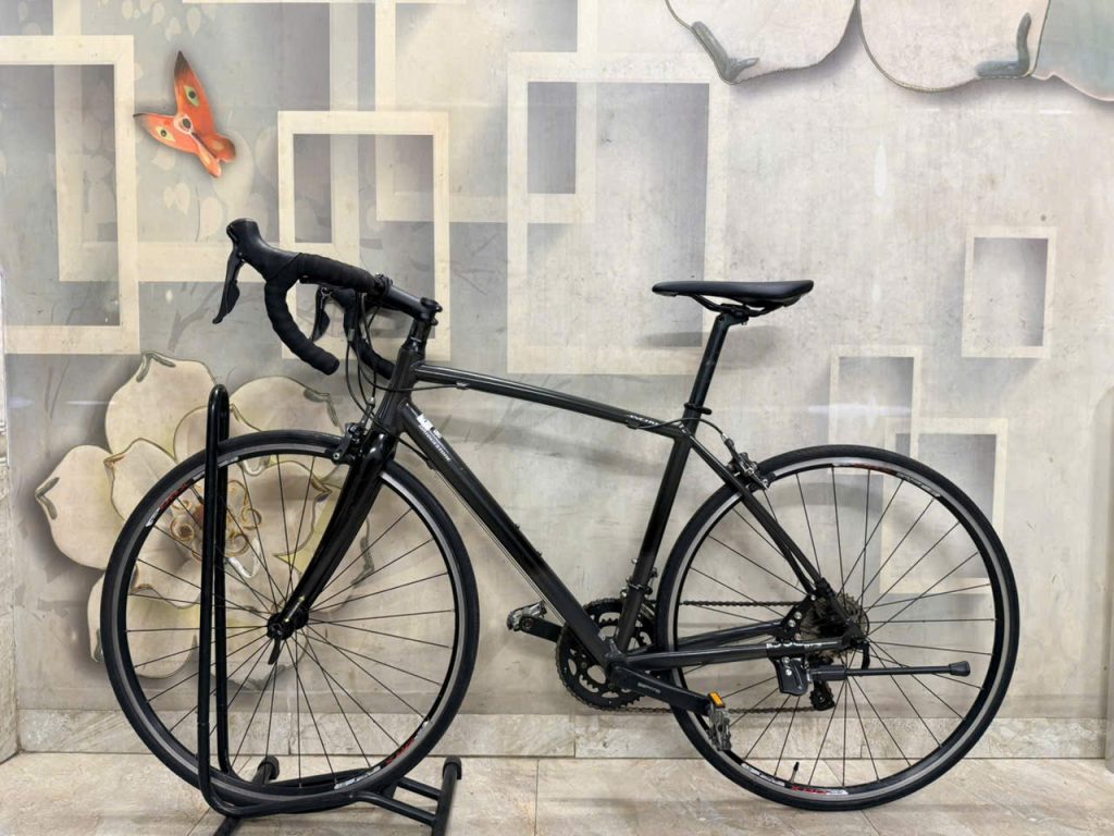 Xe đạp Nhật bãi ANCHOR càng cacbon Xe đạp Nhật bãi ANCHOR càng cacbon