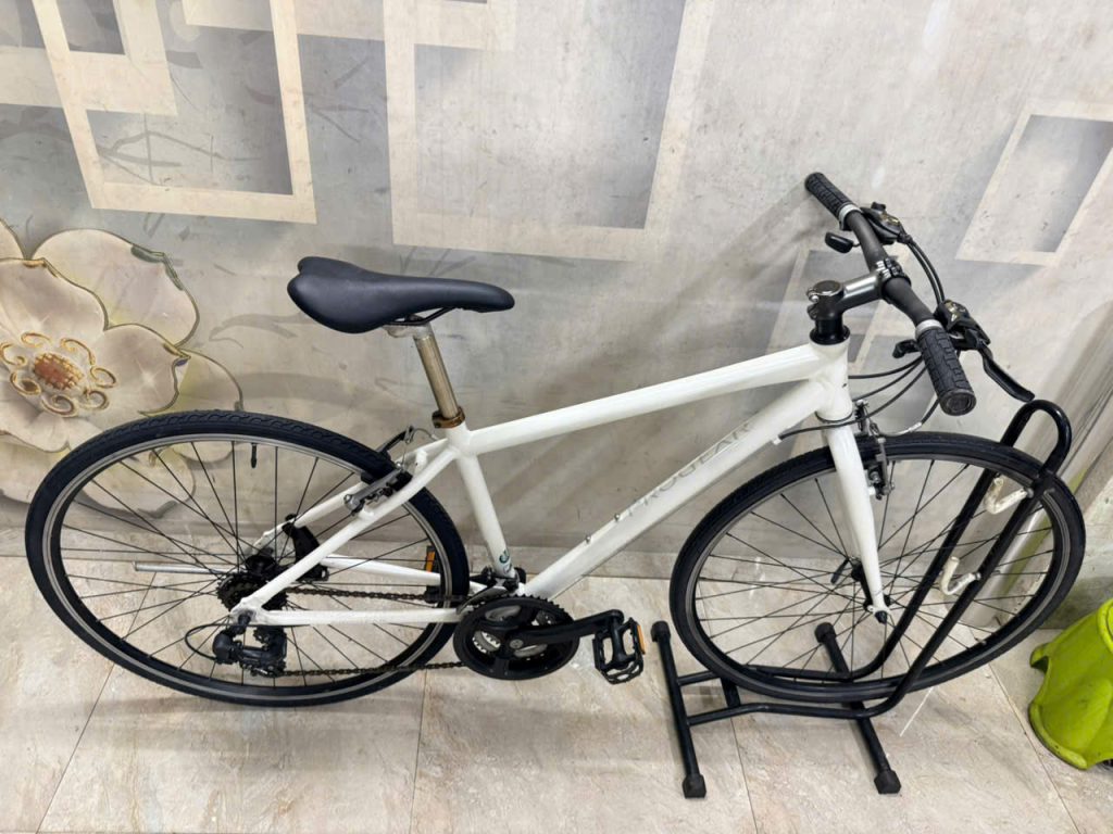 Xe đạp Progear Nhật bãi Xe đạp Progear Nhật bãi