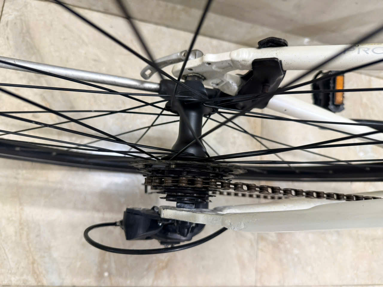 Xe đạp Progear Nhật bãi Xe đạp Progear Nhật bãi