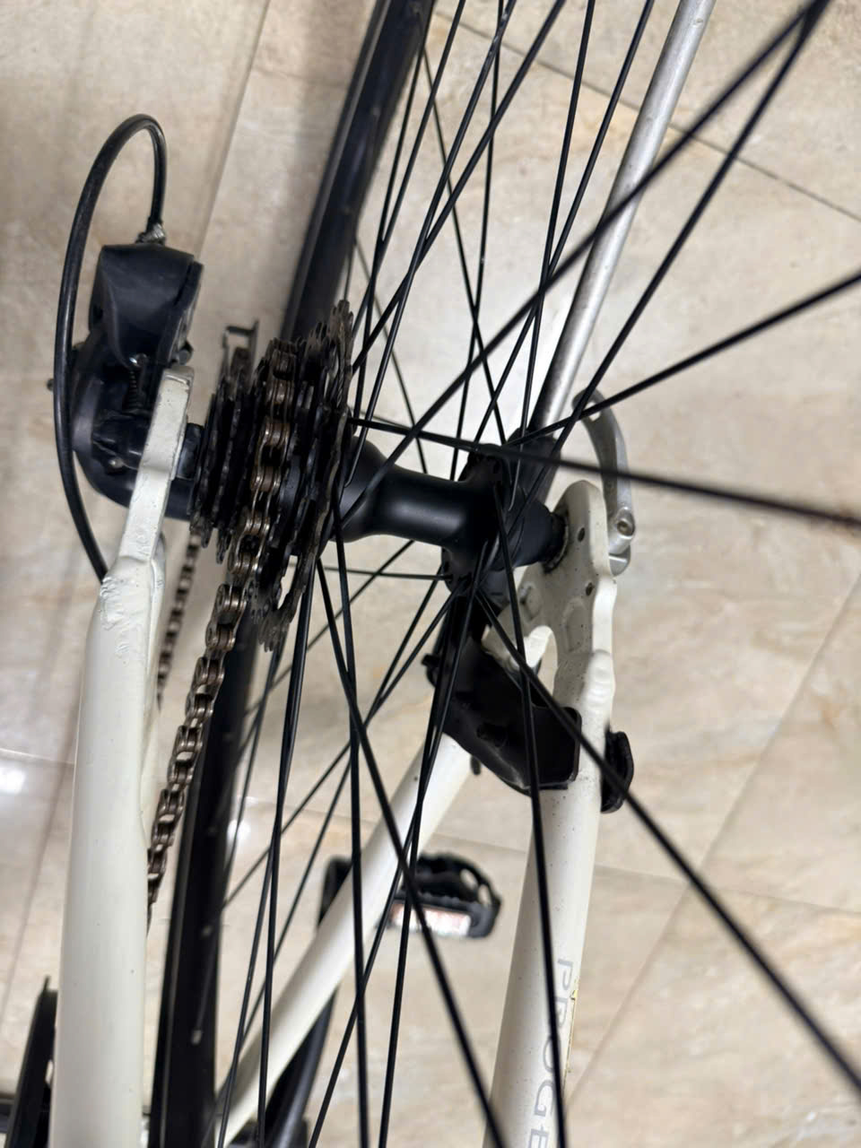 Xe đạp Progear Nhật bãi Xe đạp Progear Nhật bãi