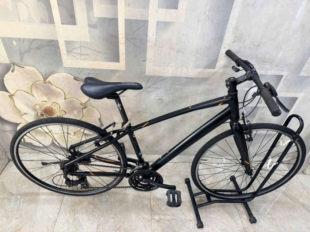 Xe đạp nhật bãi Merida Xe đạp nhật bãi Merida