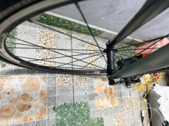 Xe đạp TREK càng cacbon Nhật bãi