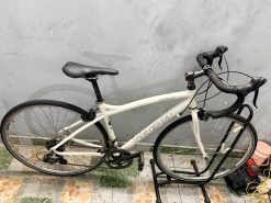 Xe đạp Nhật bãi Louis garneu tay lắc