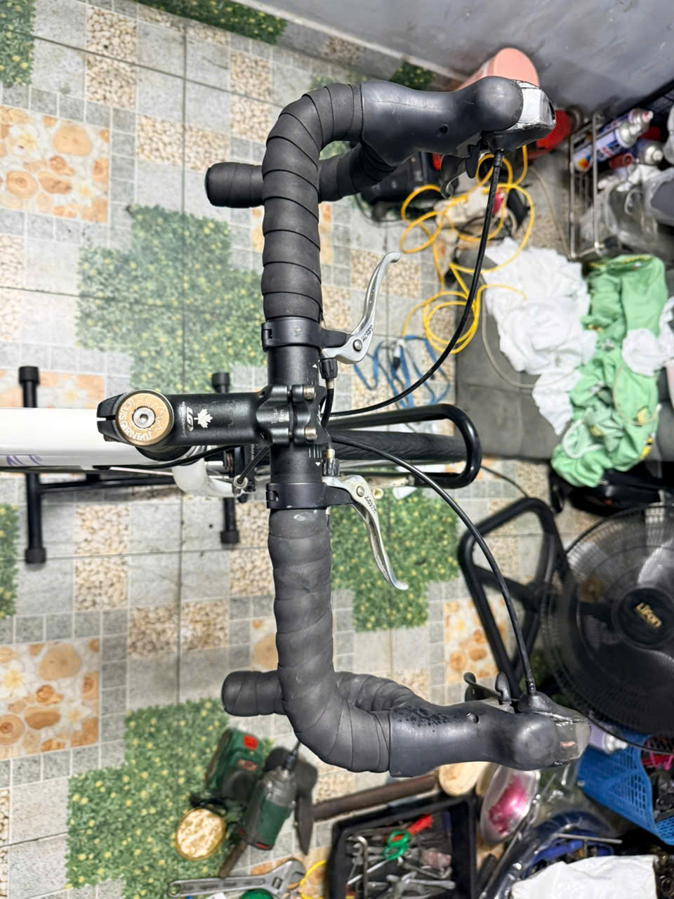 Xe đạp Nhật bãi Louis garneu tay lắc Xe đạp Nhật bãi Louis garneu tay lắc