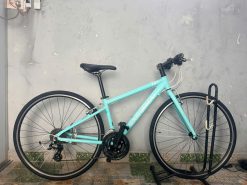 Xe đạp LOUIS Nhật bãi