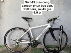 Xe đạp Louis càng cacbon, bạc đạn