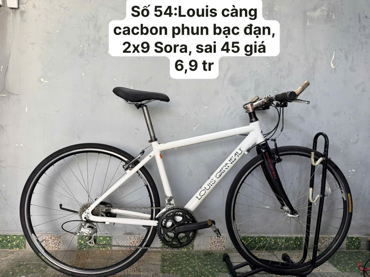 Xe đạp Louis càng cacbon, bạc đạn