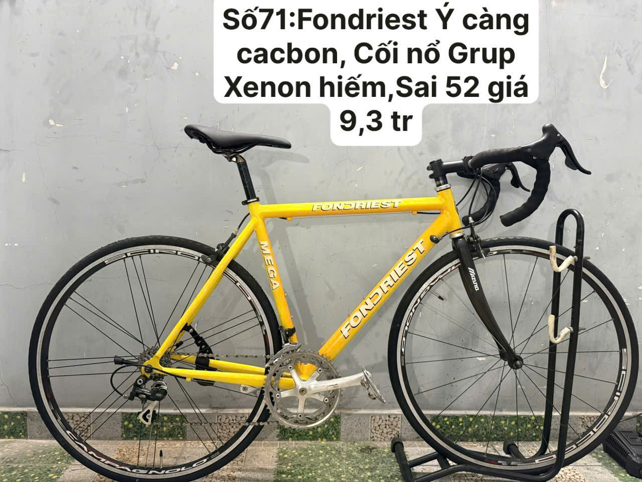 Xe đạp nhật bãi FONDRIEST càng cacbon Xe đạp nhật bãi FONDRIEST càng cacbon