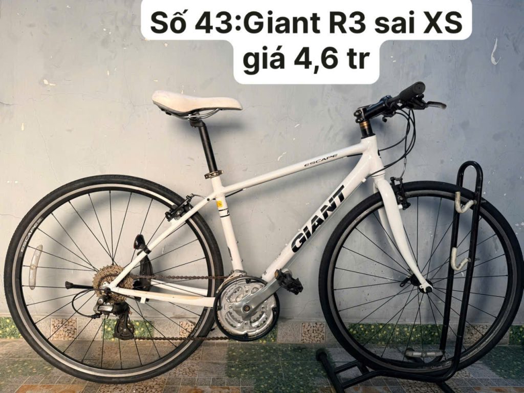 Xe đạp nhật bãi GIANT R3 Escape Xe đạp nhật bãi GIANT R3 Escape