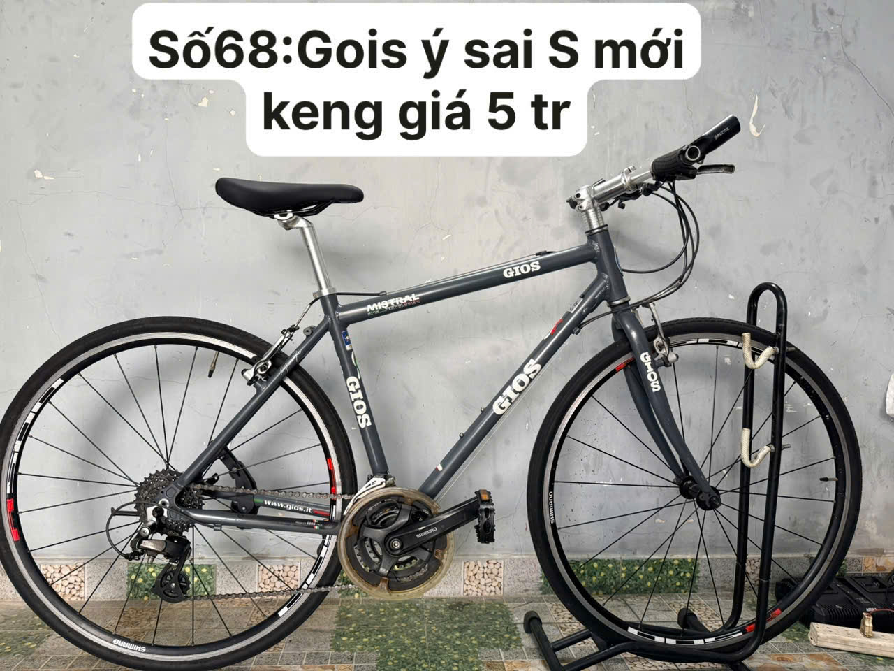 Xe đạp nhật bãi GOIS Ý