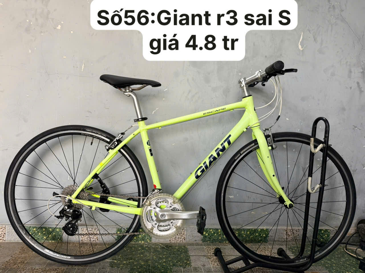 Xe đạp nhật bãi giant r3 escape