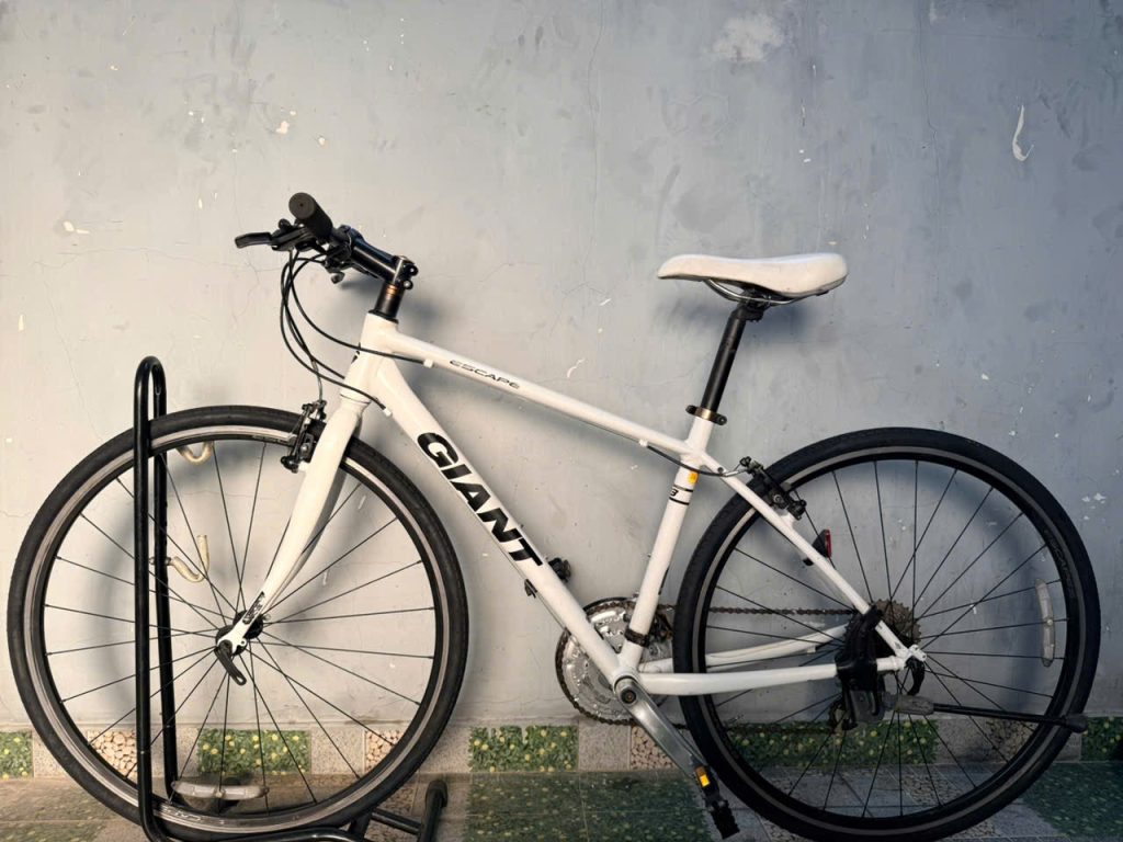 Xe đạp nhật bãi GIANT R3 Escape Xe đạp nhật bãi GIANT R3 Escape