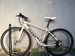 Xe đạp nhật bãi GIANT R3 Escape