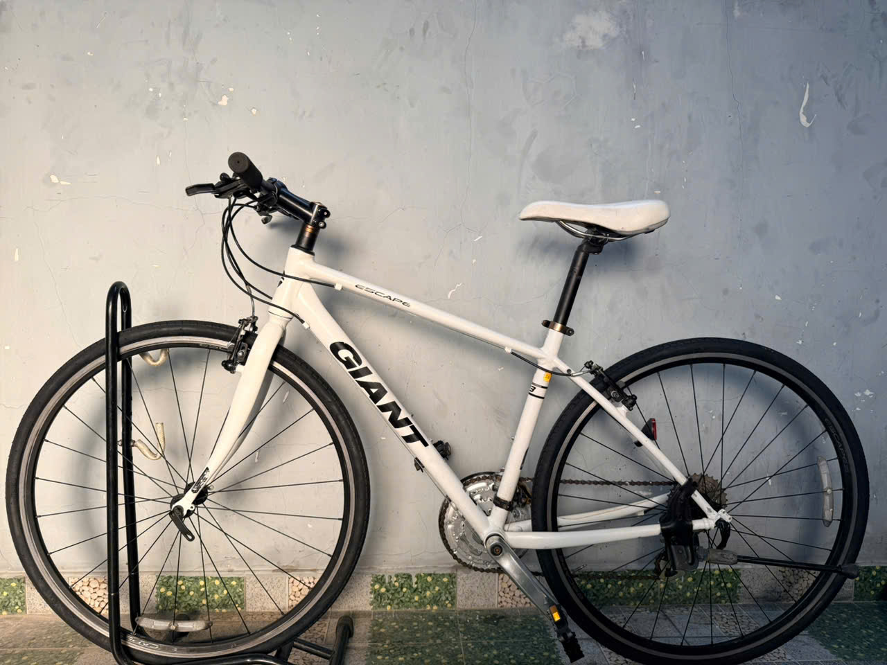 Xe đạp nhật bãi GIANT R3 Escape Xe đạp nhật bãi GIANT R3 Escape