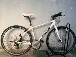 Xe đạp nhật bãi GIANT R3 Escape