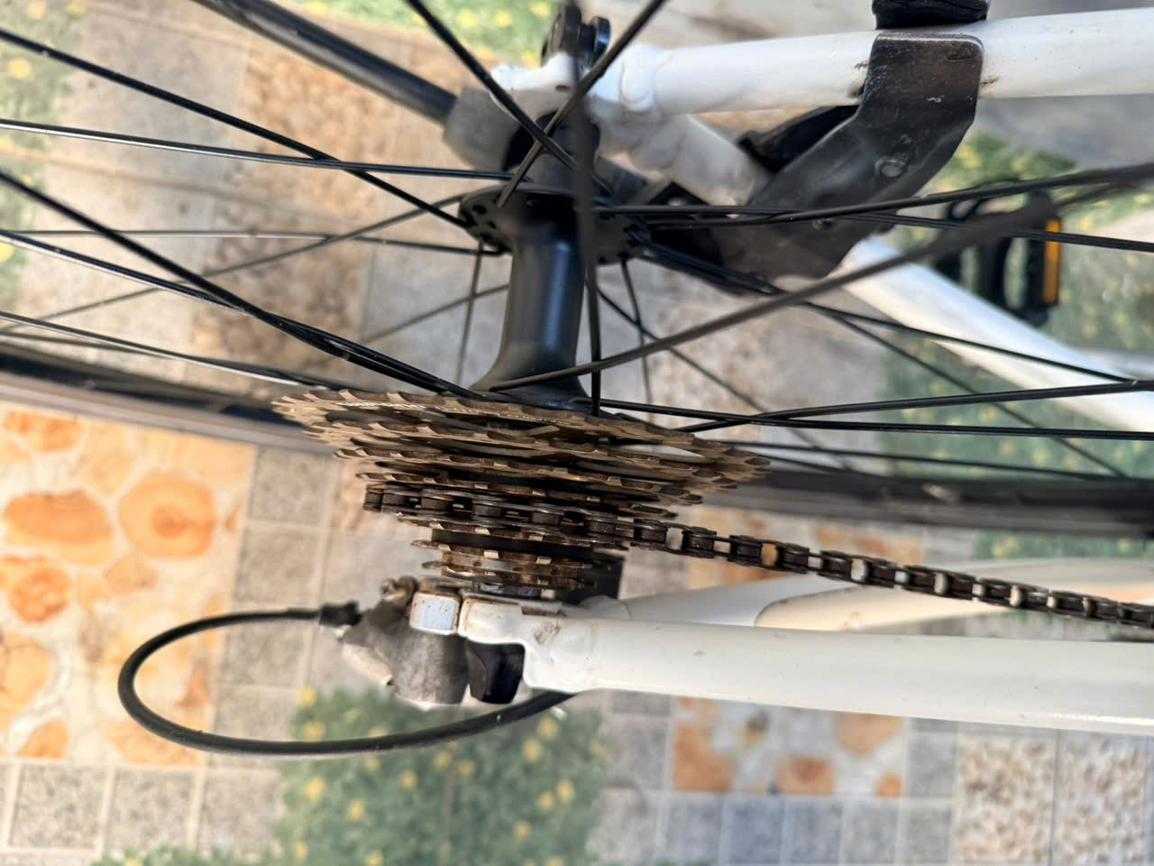 Xe đạp nhật bãi GIANT R3 Escape Xe đạp nhật bãi GIANT R3 Escape