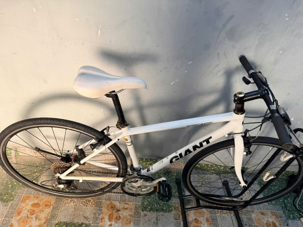 Xe đạp nhật bãi GIANT R3 Escape Xe đạp nhật bãi GIANT R3 Escape