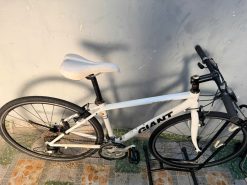 Xe đạp nhật bãi GIANT R3 Escape