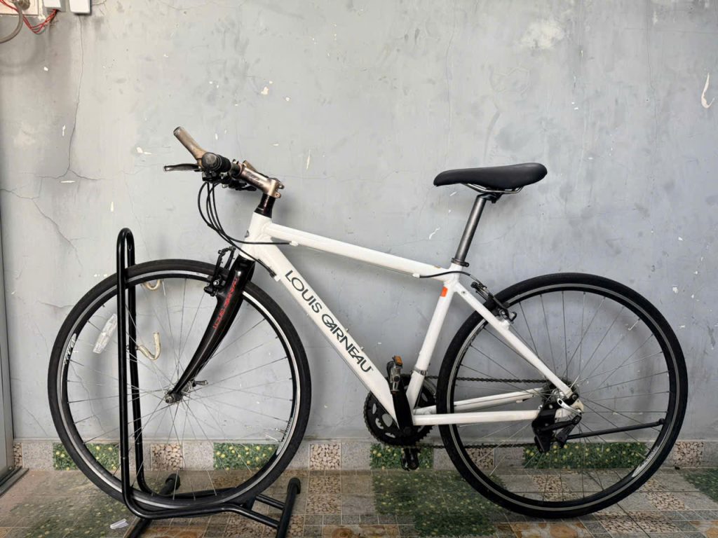 Xe đạp Louis càng cacbon, bạc đạn Xe đạp Louis càng cacbon, bạc đạn