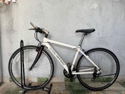 Xe đạp Louis càng cacbon, bạc đạn