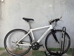 Xe đạp Louis càng cacbon, bạc đạn