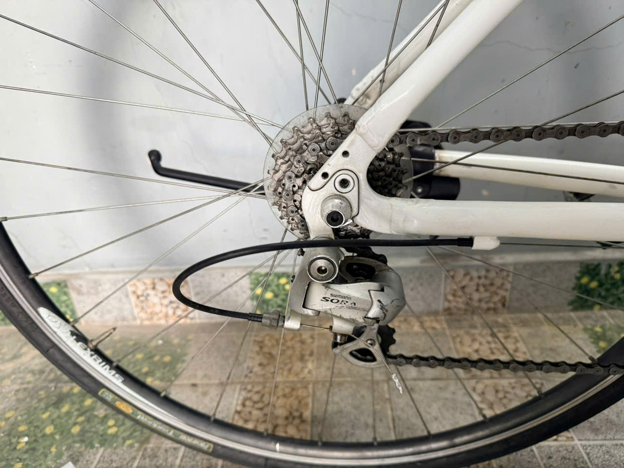 Xe đạp Louis càng cacbon, bạc đạn Xe đạp Louis càng cacbon, bạc đạn