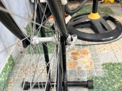 Xe đạp Louis càng cacbon, bạc đạn