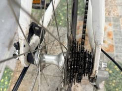 Xe đạp Louis càng cacbon, bạc đạn