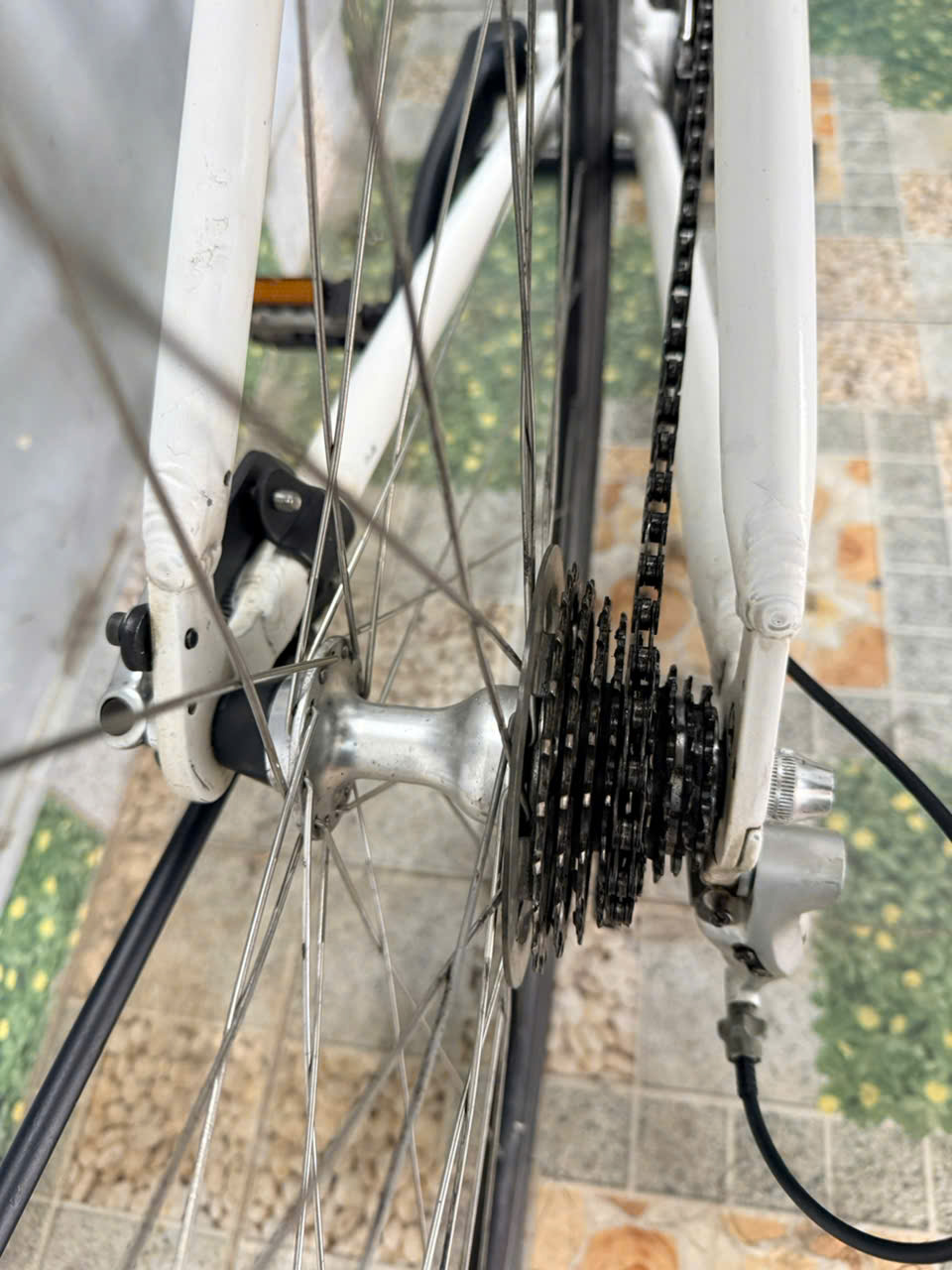 Xe đạp Louis càng cacbon, bạc đạn Xe đạp Louis càng cacbon, bạc đạn