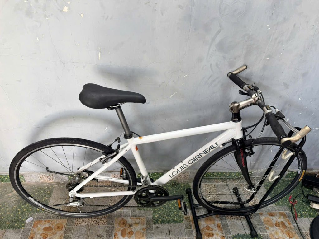 Xe đạp Louis càng cacbon, bạc đạn Xe đạp Louis càng cacbon, bạc đạn
