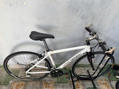 Xe đạp Louis càng cacbon, bạc đạn