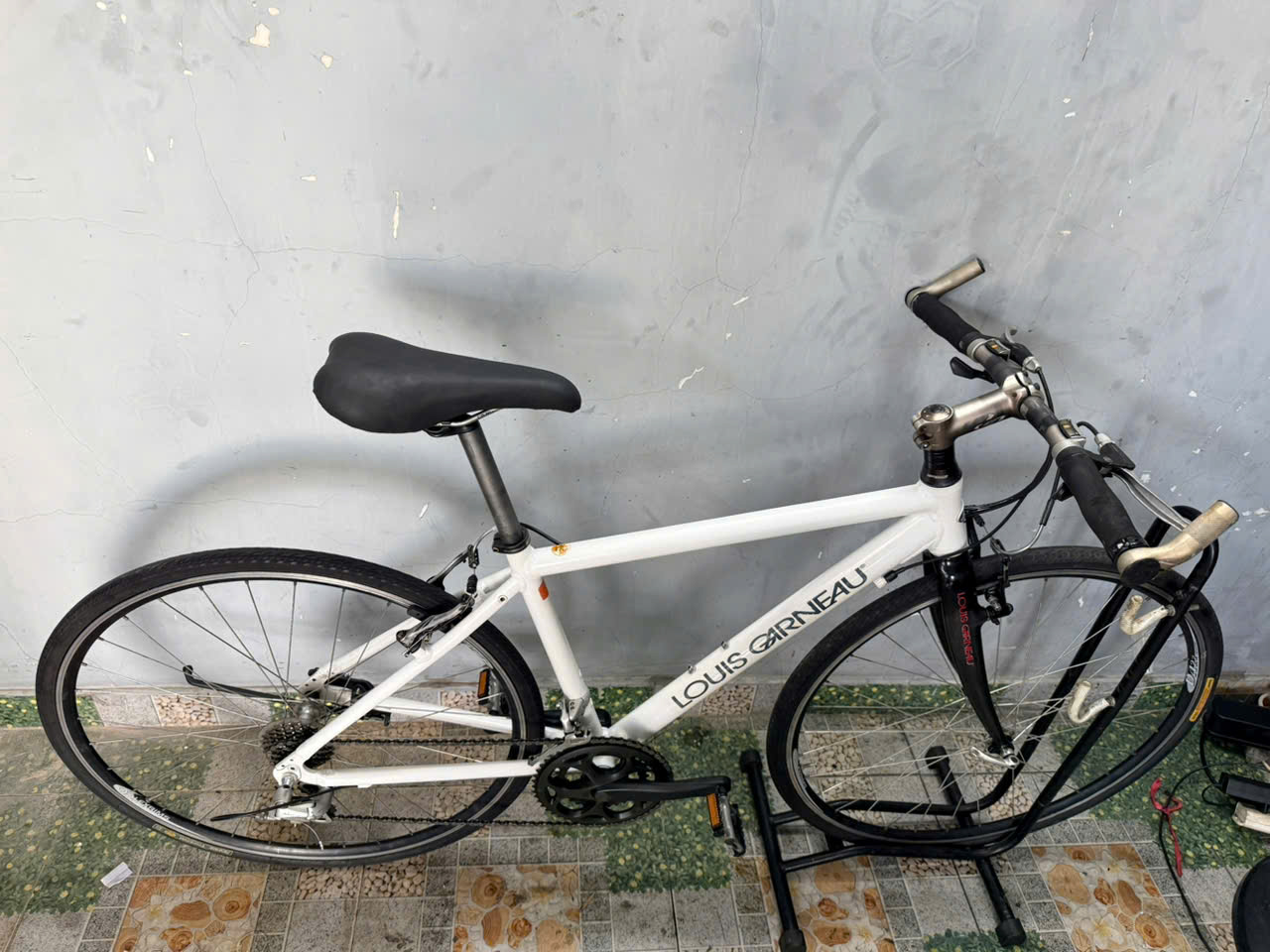 Xe đạp Louis càng cacbon, bạc đạn Xe đạp Louis càng cacbon, bạc đạn