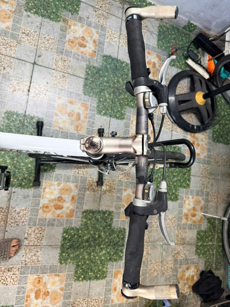 Xe đạp Louis càng cacbon, bạc đạn Xe đạp Louis càng cacbon, bạc đạn