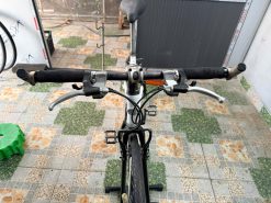 Xe đạp Louis càng cacbon, bạc đạn