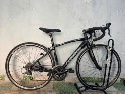 Xe đạp nhật bãi louis cổ cong tay lắc