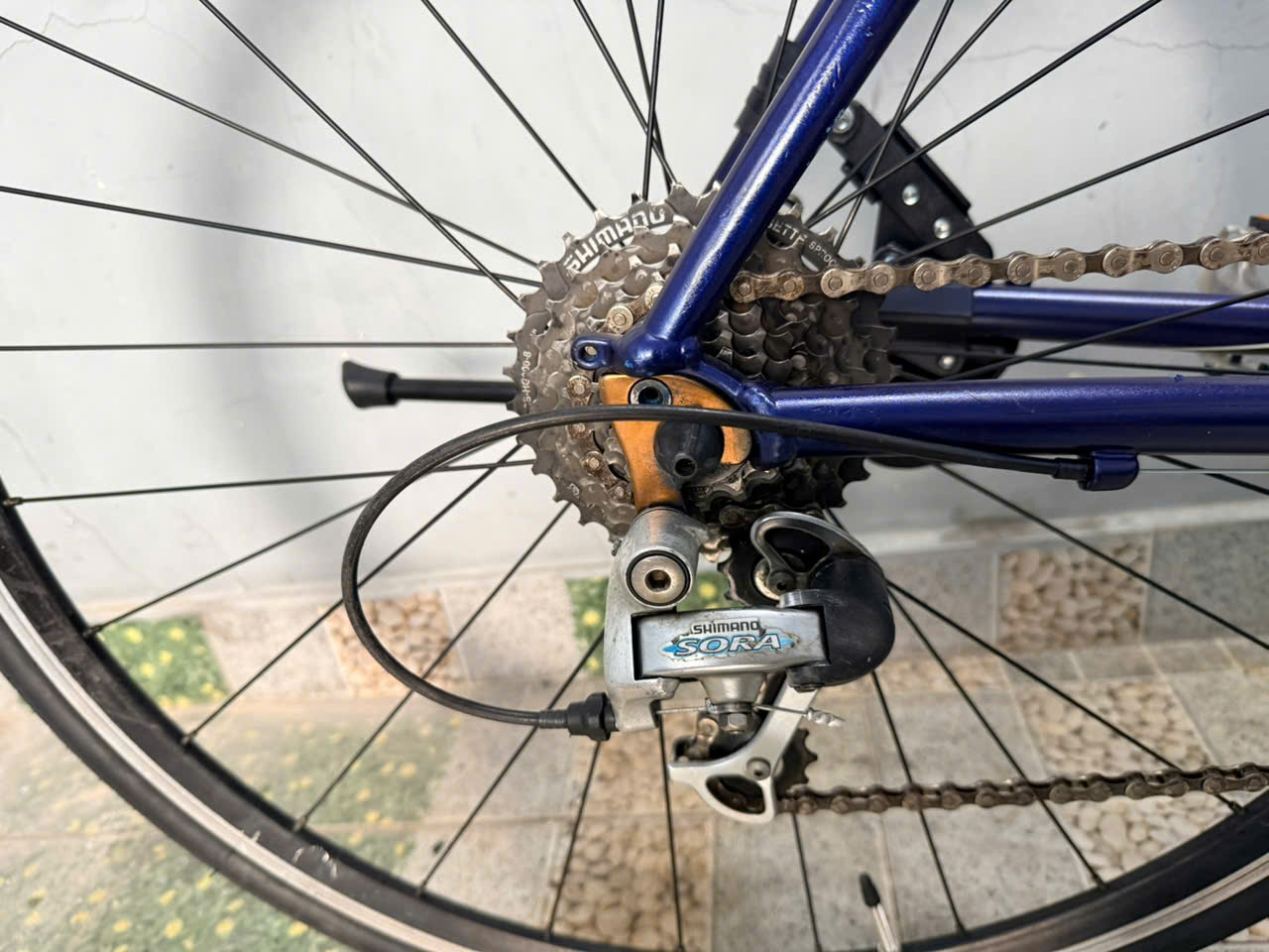 Xe đạp nhật bãi Schwinn càng cacbon Xe đạp nhật bãi Schwinn càng cacbon