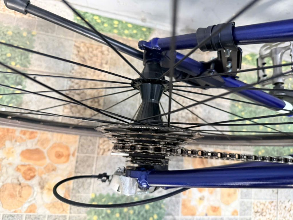 Xe đạp nhật bãi Schwinn càng cacbon Xe đạp nhật bãi Schwinn càng cacbon