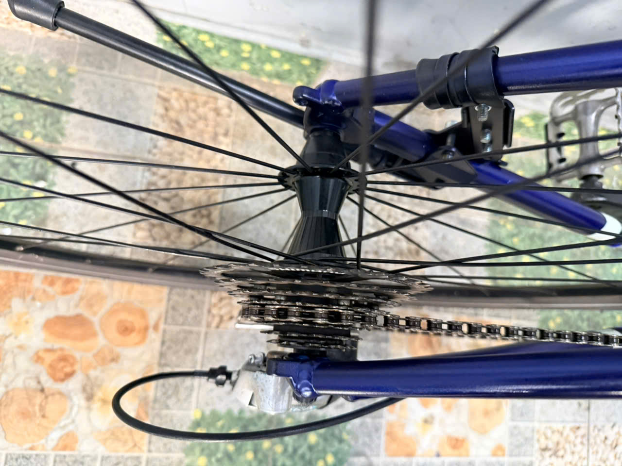 Xe đạp nhật bãi Schwinn càng cacbon Xe đạp nhật bãi Schwinn càng cacbon