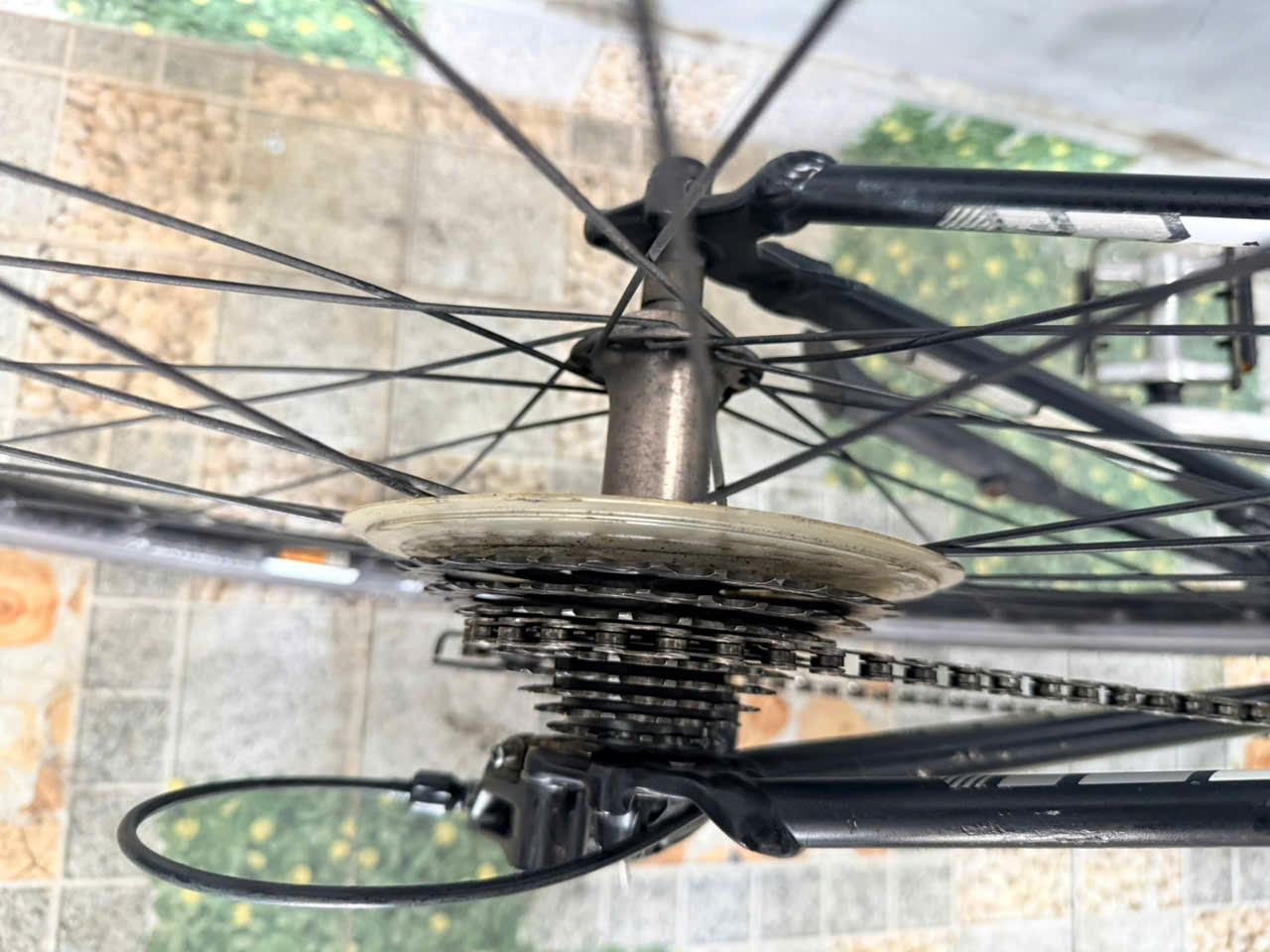 Xe đạp Trek càng cacbon dây âm sườn Xe đạp Trek càng cacbon dây âm sườn