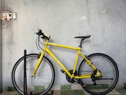 Xe đạp Louis phun nhôm