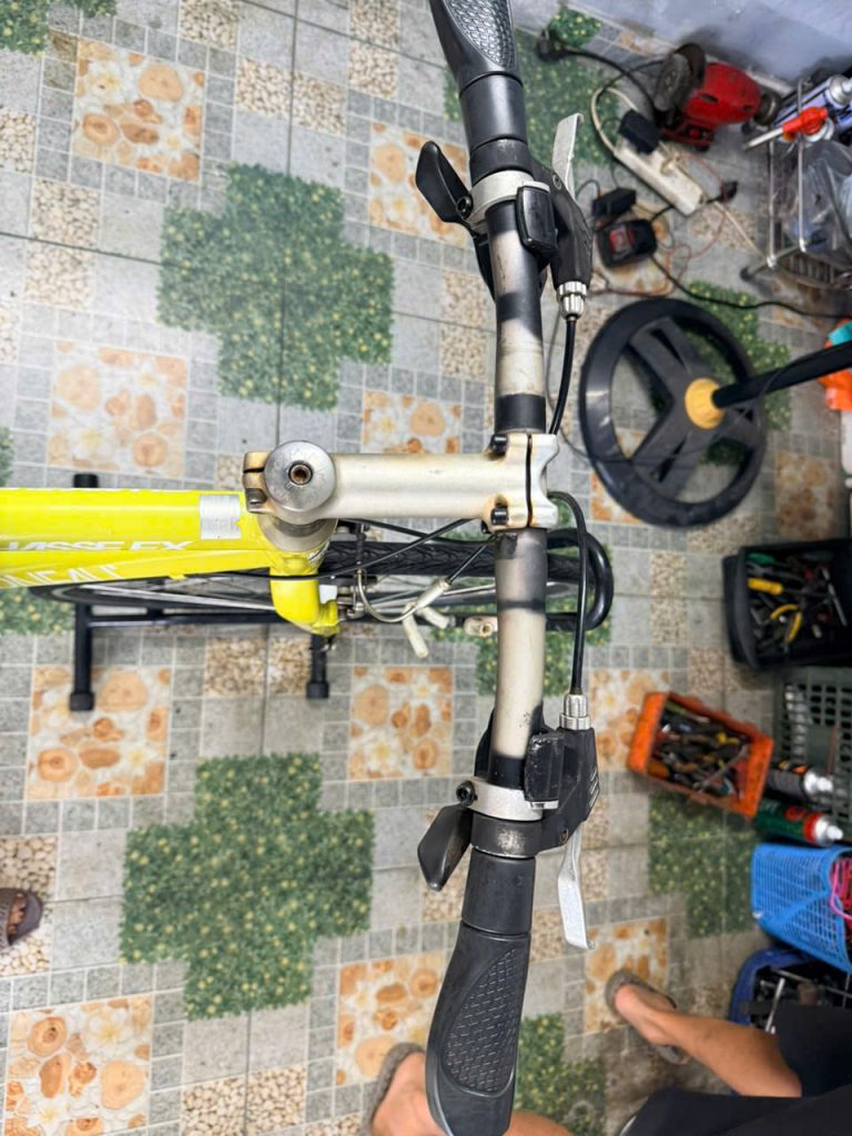 Xe đạp Louis phun nhôm Xe đạp Louis phun nhôm